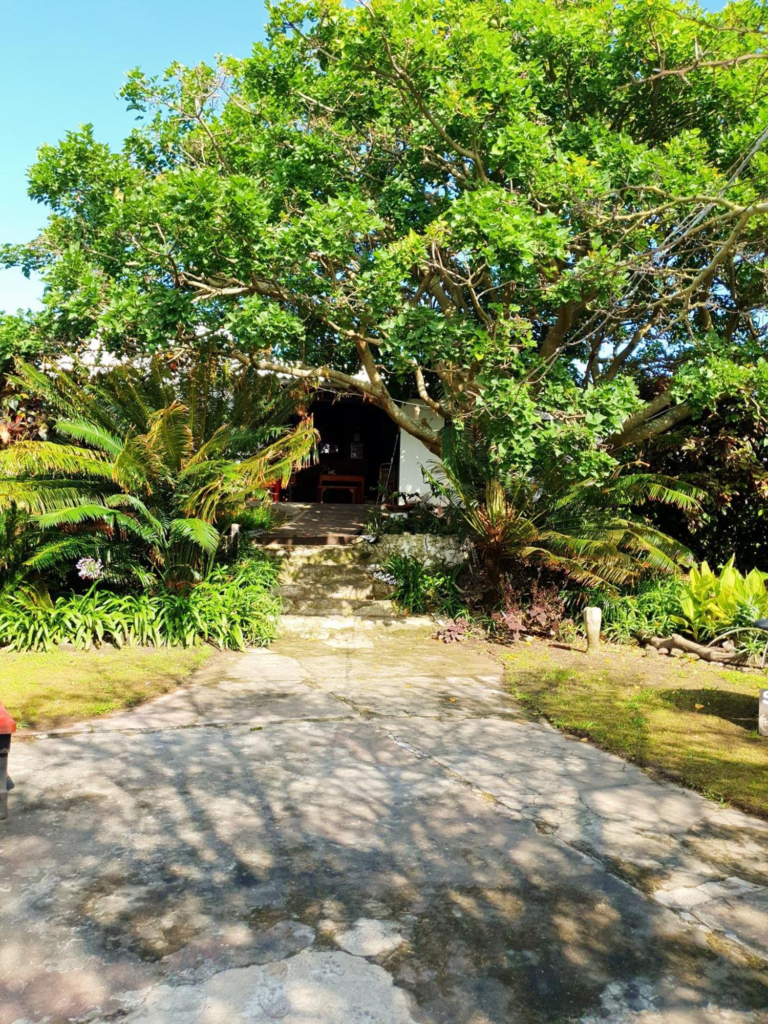 Sunset Bed And Breakfast Coffee Bay Exterior foto